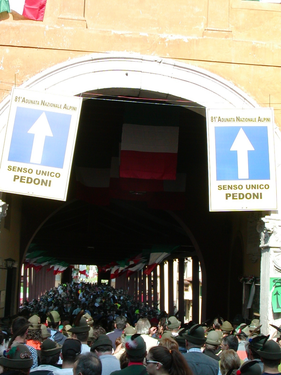 Adunata a Bassano del Grappa 2008-1